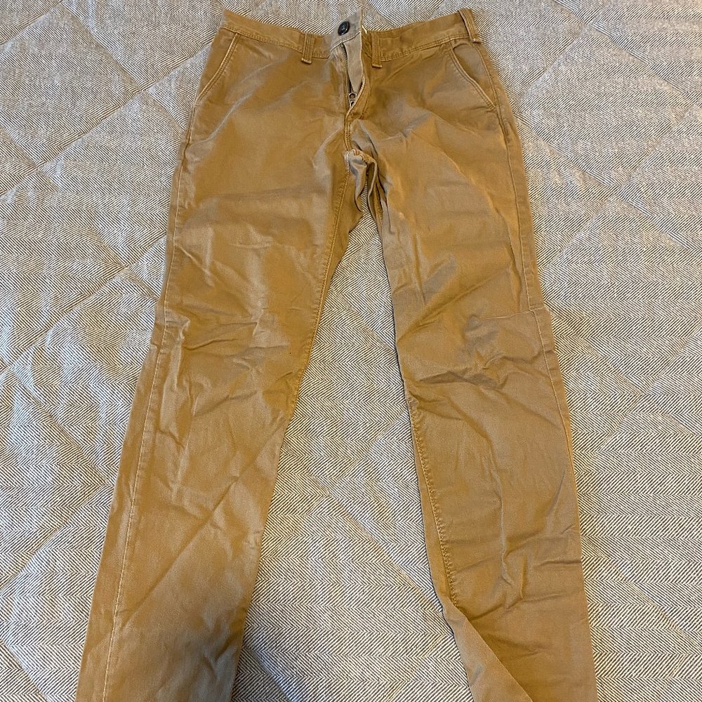 Express Brown Pants